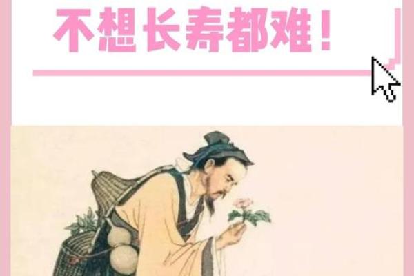传统文化中的节令养生秘诀