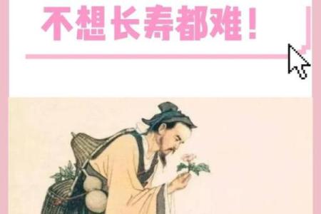 传统文化中的节令养生秘诀