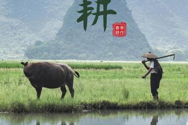 农耕的传承与节日：日本节日背后的农业文化