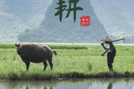 农耕的传承与节日：日本节日背后的农业文化