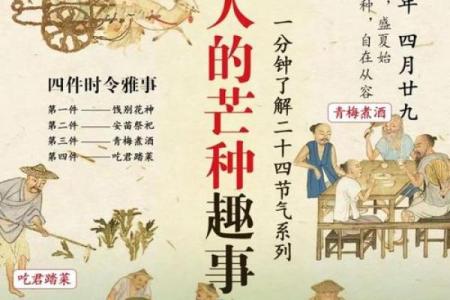 八月农耕节令：从收获到庆典的文化传承