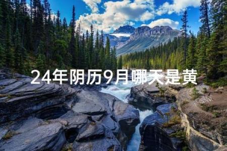 揭秘农历九月14：为何这一天如此特殊，不容错过