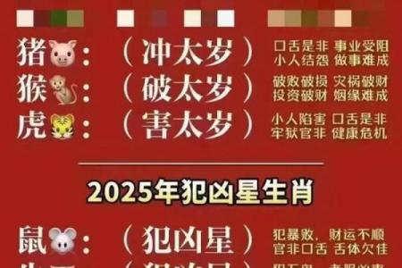 揭秘：农历正月，你的生肖运势究竟如何？