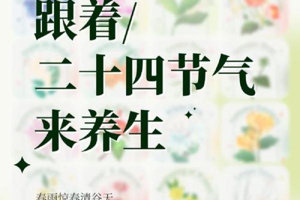 今晚的节气与养生：如何在二十四节气中调整你的作息？