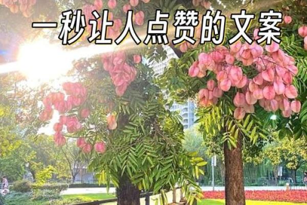 揭秘农历10月：这个神秘月份的五大惊喜等你发现