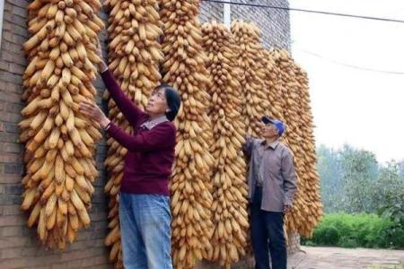 怒族节日中的天文现象与农业周期