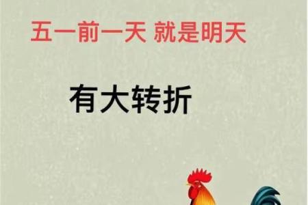 穿越生肖之门：农历属相背后的故事，让你好奇不已
