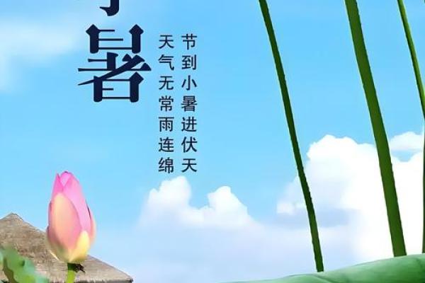 节令应用：如何根据天气变化调整日常生活
