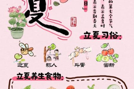 如何在立夏节气中调养身体，避免夏季疲劳
