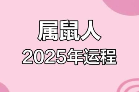 农历1984年生肖运势揭秘：那个年代，哪个生肖最幸运？