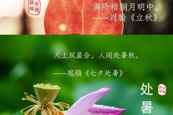 节令养生，诗与时光同行