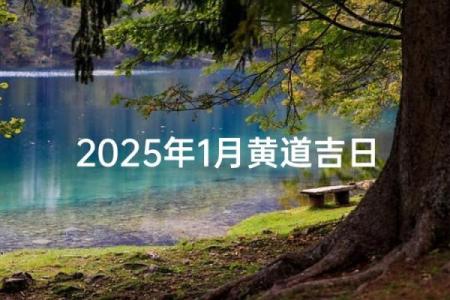 选对吉日，财运亨通黄道吉日攻略大公开
