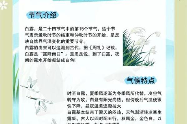 ——从农耕到现代：白露节气如何影响我们的饮食与健康