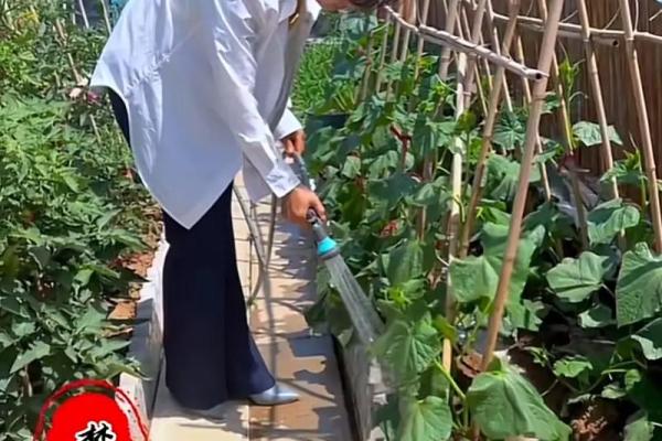 如何在春节期间应用传统农耕智慧