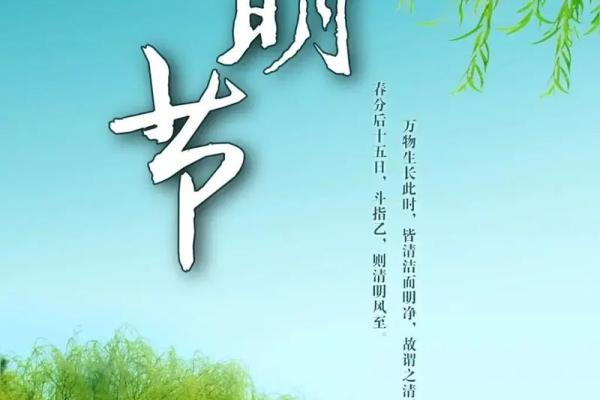 清明节：缅怀祖先与踏青养生的时刻