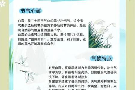 ——从农耕到现代：白露节气如何影响我们的饮食与健康