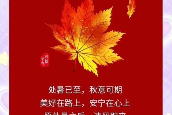 秋意渐浓时，农历九月十四：探寻节日背后的历史渊源
