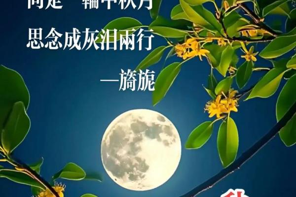 秋意渐浓时，农历九月十四：探寻节日背后的历史渊源