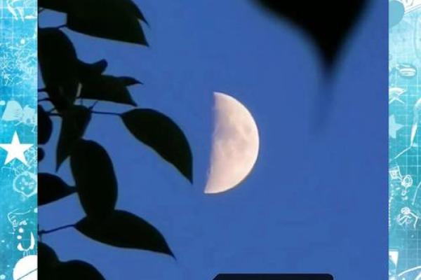 揭秘：农历7月1日，揭秘你的星座命运转折点