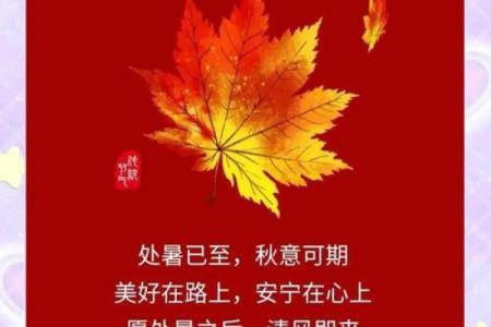 秋意渐浓时，农历九月十四：探寻节日背后的历史渊源