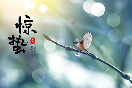 春季节令与传统风俗：从惊蛰到谷雨的文化习惯