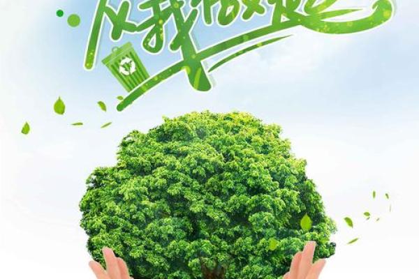 世界环境日：传统习俗中的绿色智慧与现代环保结合