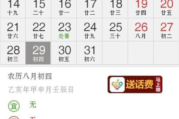 1995年，那个农历年发生了什么？揭秘不为人知的秘密