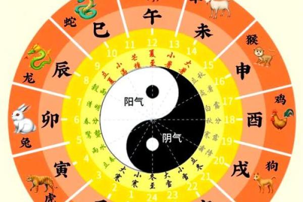 生肖秘籍：农历属相背后的性格揭秘，你猜对了几个？