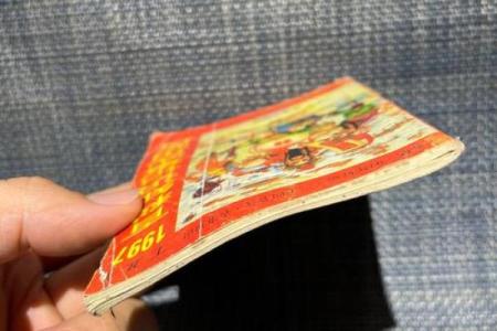 1995年，那个农历年发生了什么？揭秘不为人知的秘密
