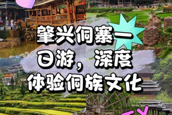 体验侗族节日背后的自然与文化崇拜