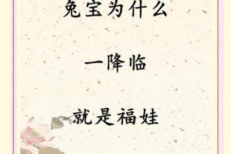 2016新生儿福星降临：揭秘最旺宝宝生日的秘密时刻
