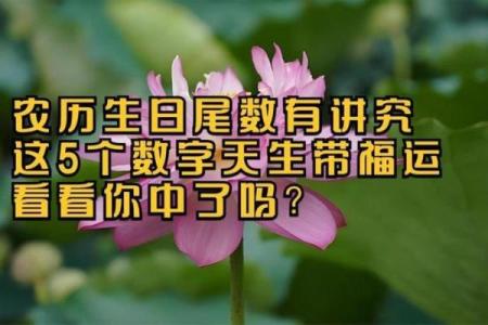 农历生日大揭秘：原来你的生日藏着这样的运势玄机