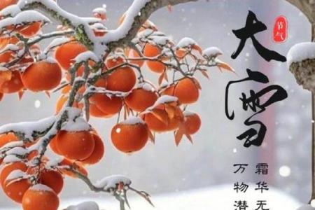 哈尼族冬季节令：天文与节气的交织