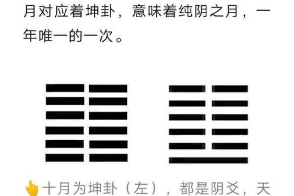 揭秘十月十二农历背后的神秘传说：你不知道的历史秘密