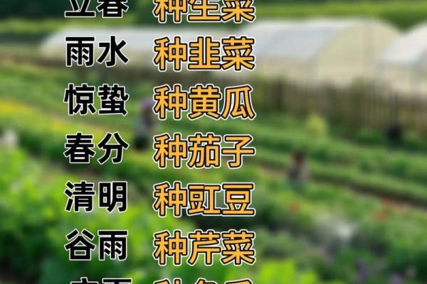 农耕节令：如何依据季节变化规划农事活动