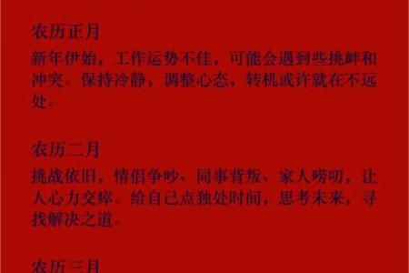 94年农历：揭秘94年运势大揭秘，你错过了哪些吉时？