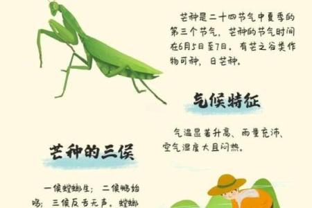 农耕季节的转折点与民俗活动