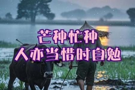 节令中的农耕故事与生活智慧