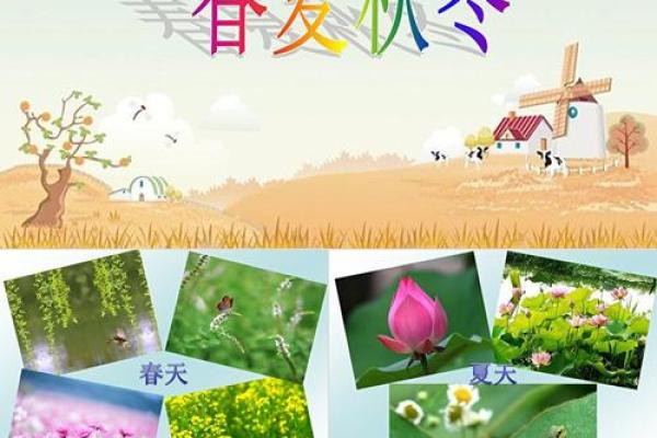 春夏秋冬的节日庆典,哪一个是你最期待的? 春夏秋冬的节日庆典,哪一个是你最期待的?