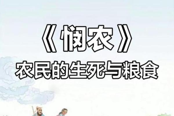 五月农忙时节：农田背后的文化与习俗探秘
