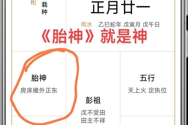 每日吉日大揭秘,老黄历中的隐藏宝藏等你来发现 每日吉日大揭秘,老黄历中的隐藏宝藏等你来发现