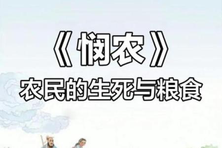 五月农忙时节：农田背后的文化与习俗探秘
