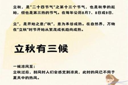 立秋节气的气候变化与农民的生产节奏