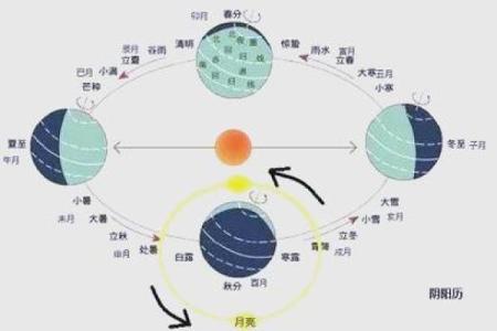 农历1984年揭秘:阳历与农历的奇妙交织