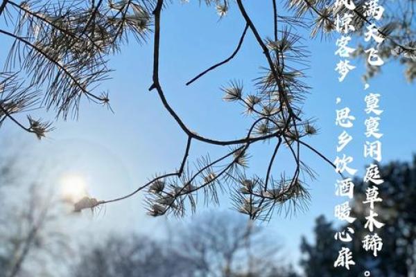 德国冬至节:天文现象与冬季养生的交汇 德国冬至节:天文现象与冬季养生的交汇