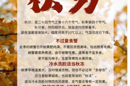 秋收季节如何通过养生保持最佳状态