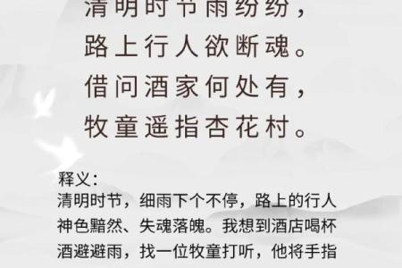 清明时节雨纷纷，诗词抒发思乡情