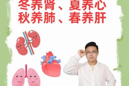 地球节日与养生理念：平衡自然与身体的智慧