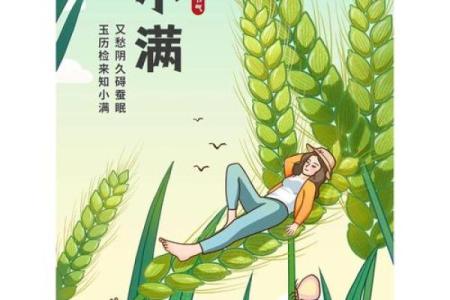 小满：夏季气候变化与作物生长