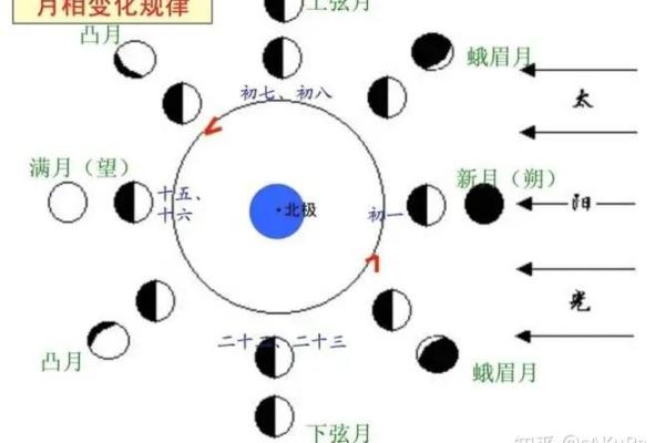 月圆人团圆:农历月相与节日习俗的奇妙关系 月圆人团圆:农历月相与节日习俗的奇妙关系